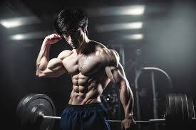 1Man fitness and man fitness muscles best